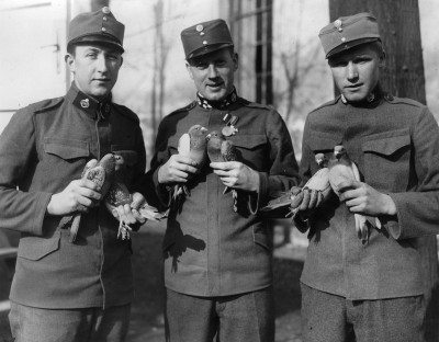 Soldaten mit Brieftauben, © IMAGNO/Austrian Archives (S)