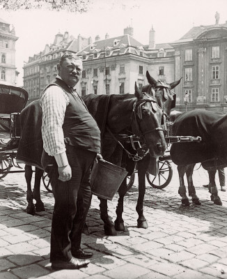 Ein Fiaker versorgt seine Pferde, © IMAGNO/Austrian Archives