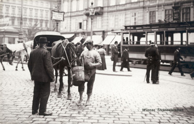 Wasserer mit Fiakerpferd, © IMAGNO/Austrian Archives