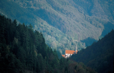 Blick auf die Kirche der Kartause Gaming, © IMAGNO/Gerhard Trumler