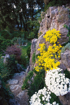 Bewachsener Felsen im Garten von André Heller, © IMAGNO/Franz Hubmann