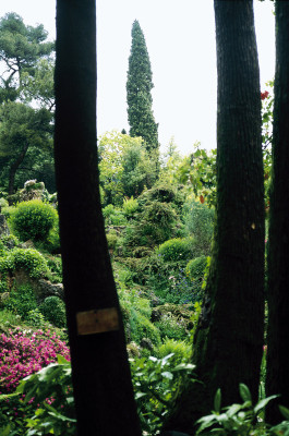 Im Garten von André Heller, © IMAGNO/Franz Hubmann