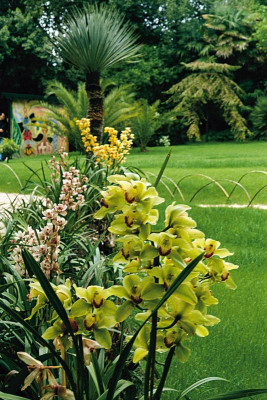 Der Garten von André Heller in Gardone, © IMAGNO/Franz Hubmann