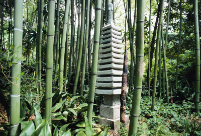 Bambuswald  im Garten von André Heller, © IMAGNO/Franz Hubmann
