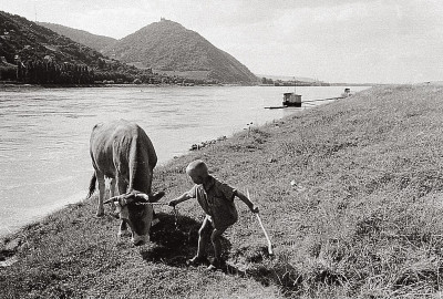 Das Überschwemmungsgebiet der Wiener Donau, © IMAGNO/Franz Hubmann