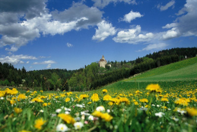 Burg Rastenberg, © IMAGNO/Gerhard Trumler