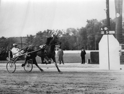 Österreichisches Traber-Derby, © IMAGNO/Austrian Archives (S)