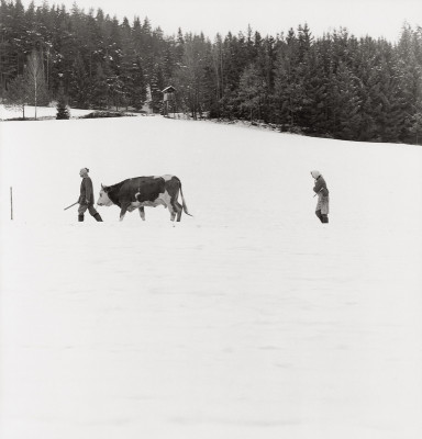 Oberweberberg, © IMAGNO/Gerhard Trumler