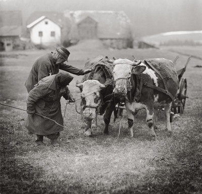 Kobelbauer, © IMAGNO/Gerhard Trumler