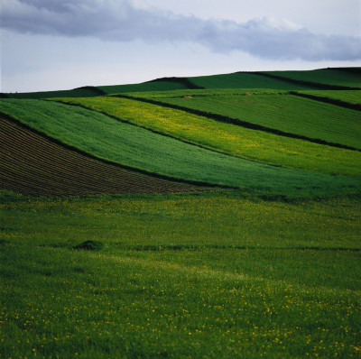 Wiesen bei Marbach im Felde, © IMAGNO/Gerhard Trumler