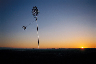 Hürsten am Gaisberg, © IMAGNO/Gerhard Trumler