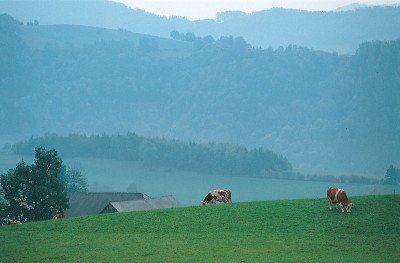 Altes Bauernland vor den Bergen, © IMAGNO/Gerhard Trumler