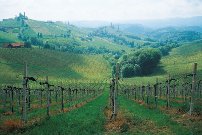 Südsteirische Weinstrasse, © IMAGNO/Gerhard Trumler