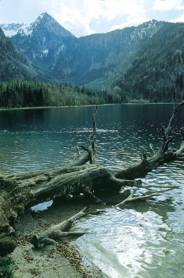 Der Offensee im Salzkammergut, Oberösterreich, © IMAGNO/Gerhard Trumler