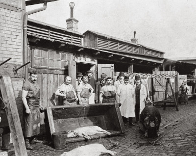 Schweineschlachthaus in Wien St. Marx, © IMAGNO/Austrian Archives