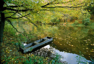 Ein Boot auf der Thaya, © IMAGNO/Gerhard Trumler