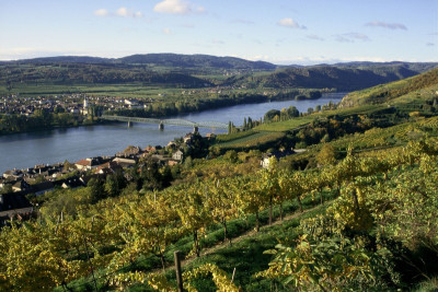 Donau zwischen Stein und Mautern, © IMAGNO/Alliance for Nature