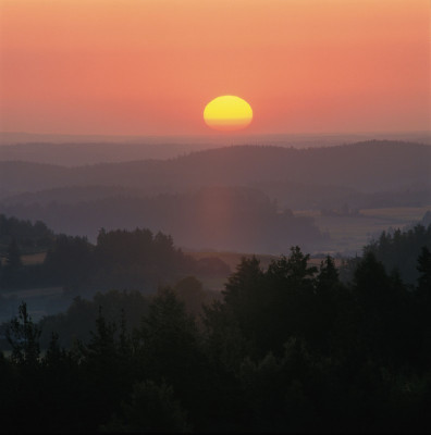 Aufgehende Sonne über Waldlandschaft, © IMAGNO/Gerhard Trumler