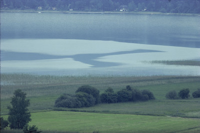 Der Wallersee, © IMAGNO/Franz Hubmann