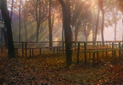 Herbstmorgen im Wienerwald, © IMAGNO/Öst. Volkshochschularchiv