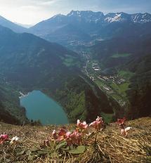 Blick vom Hochblaser auf den Leopoldsteiner See