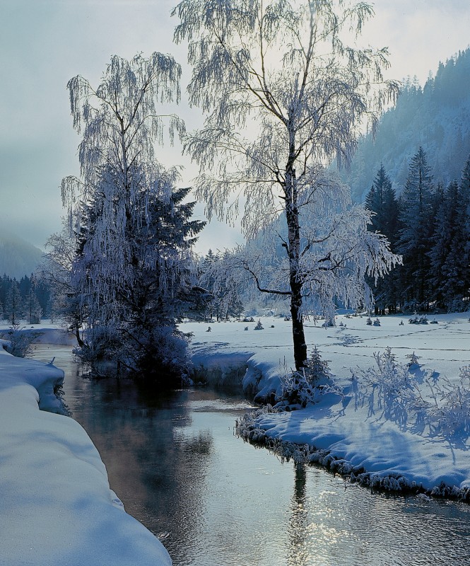 verschneiter Flusslauf