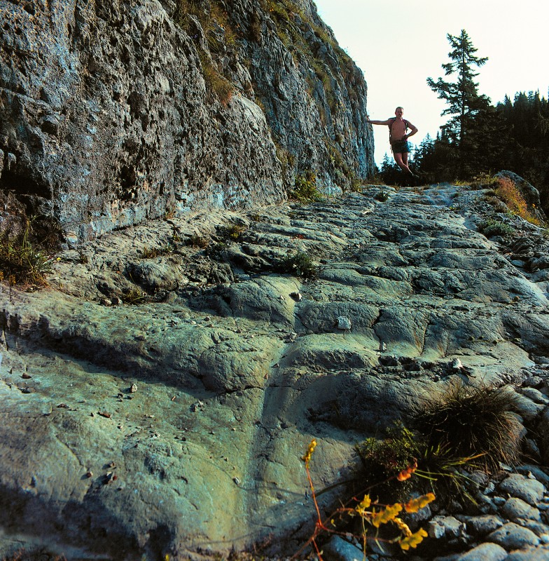 Der Römerweg in Richtung Eisenerzer Höhe