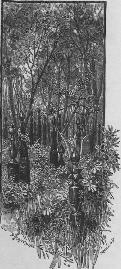 Illustration Friedhof von Nagy-Körös