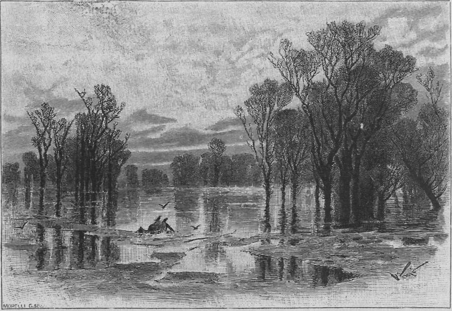 Illustration Hochwasserbild an der Theiß