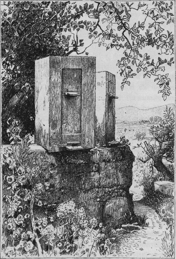 Illustration Böhmischer Bienenstock