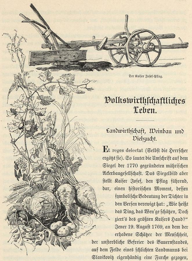 Illustration Kaiser Josef-Pflug