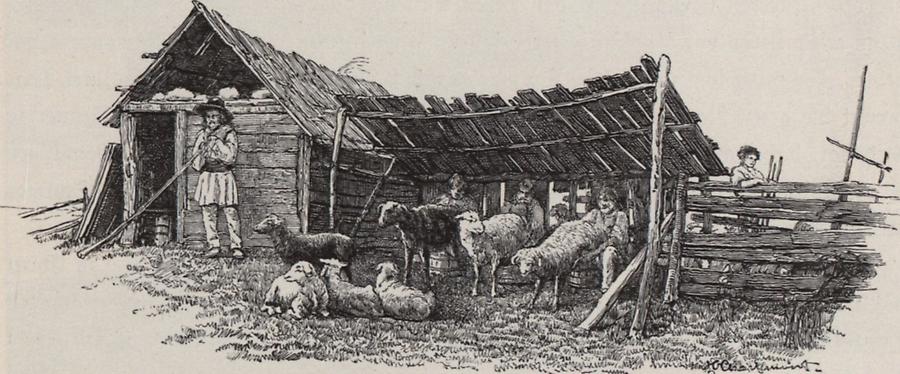 Illustration Rumänische Sennhütte