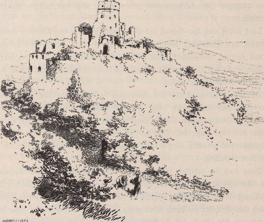 Illustration Ruine der Burg Zboro