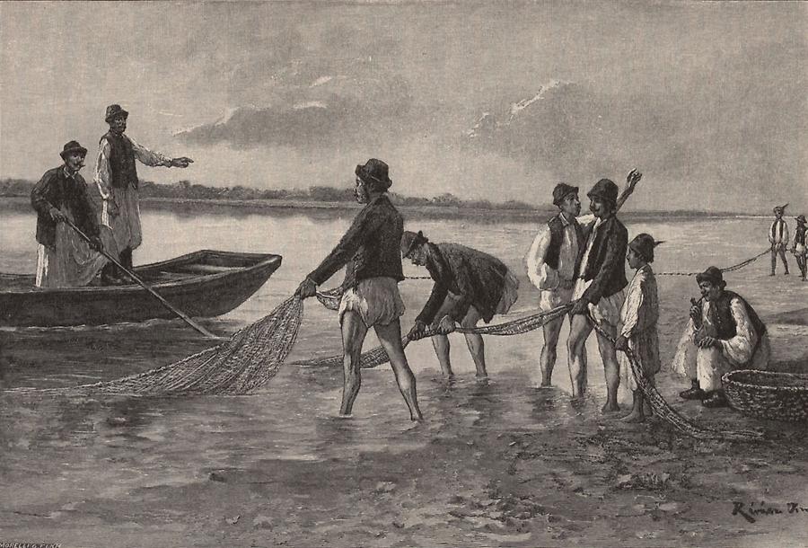 Illustration Fischfang auf der Theiß