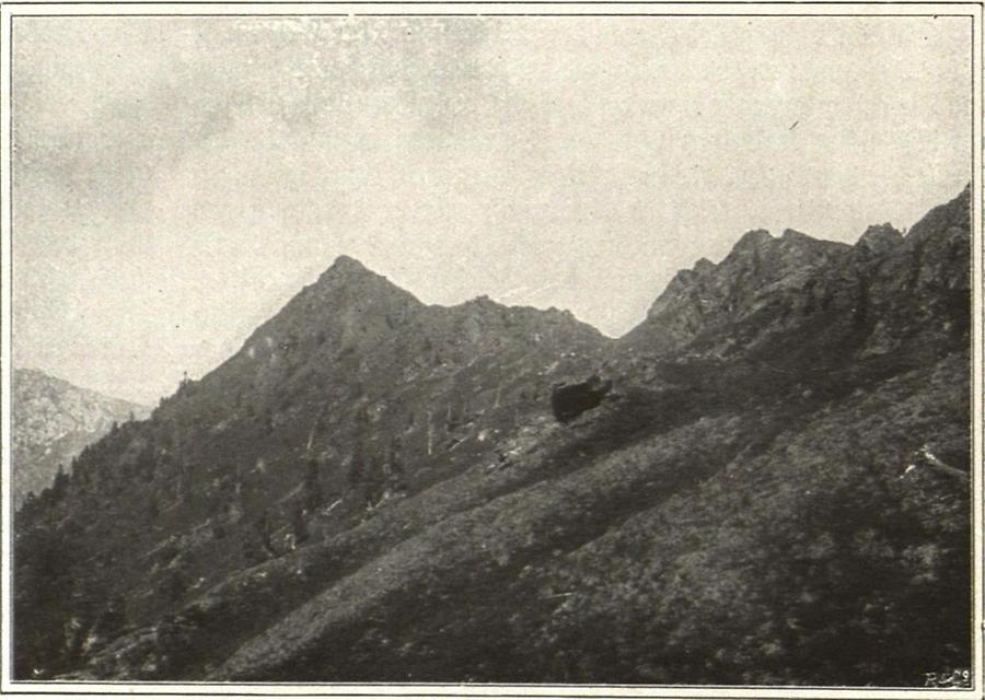 Illustration Niedere Tauern, Steiermark Baumgrenze und alpine Region