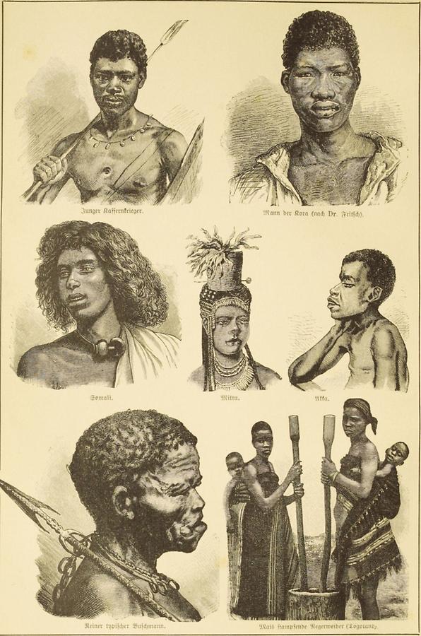 Illustration Afrikanische Völkertypen II