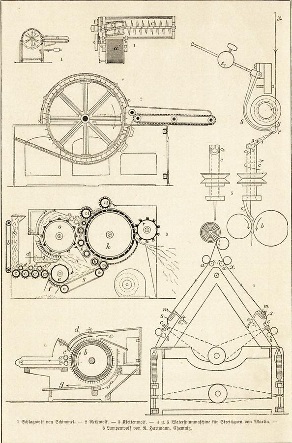 Illustration Spinnen (Tafel II)