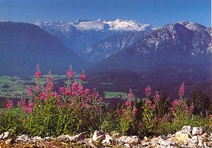 Dachstein