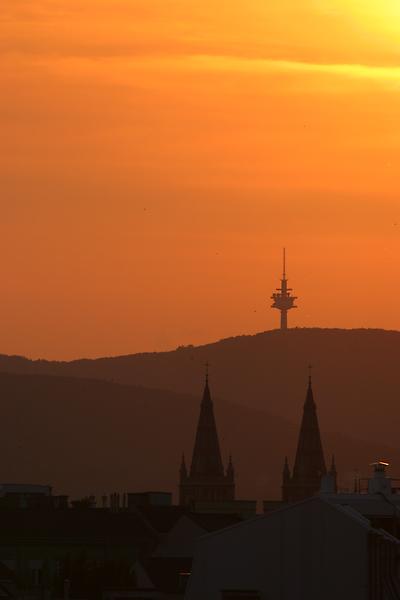 Über den Dächern Wiens - Alser Kirche, Kahlenberg