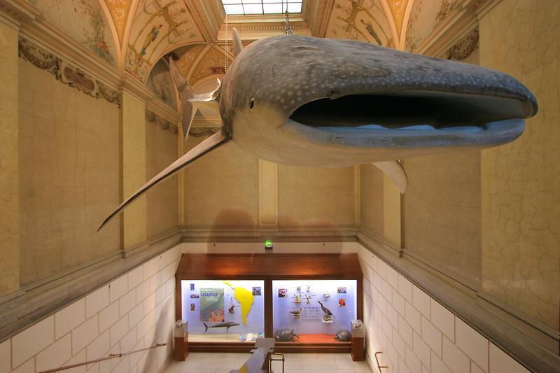 Naturhistorisches Museum