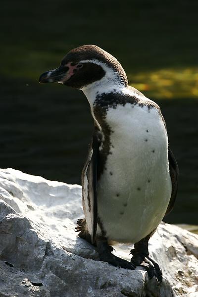 ZOO Schönbrunn