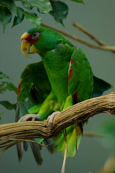 ZOO Schönbrunn