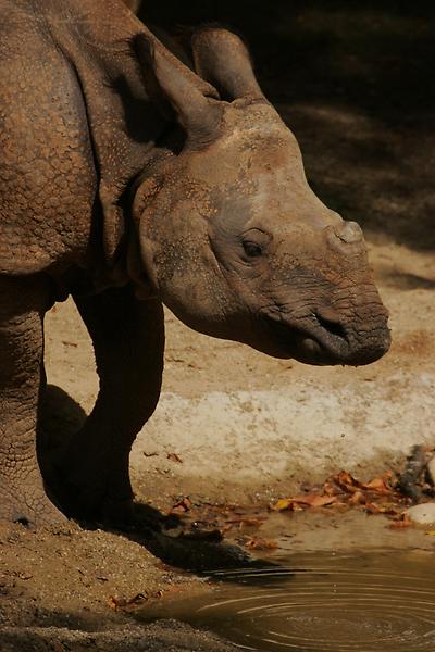 ZOO Schönbrunn