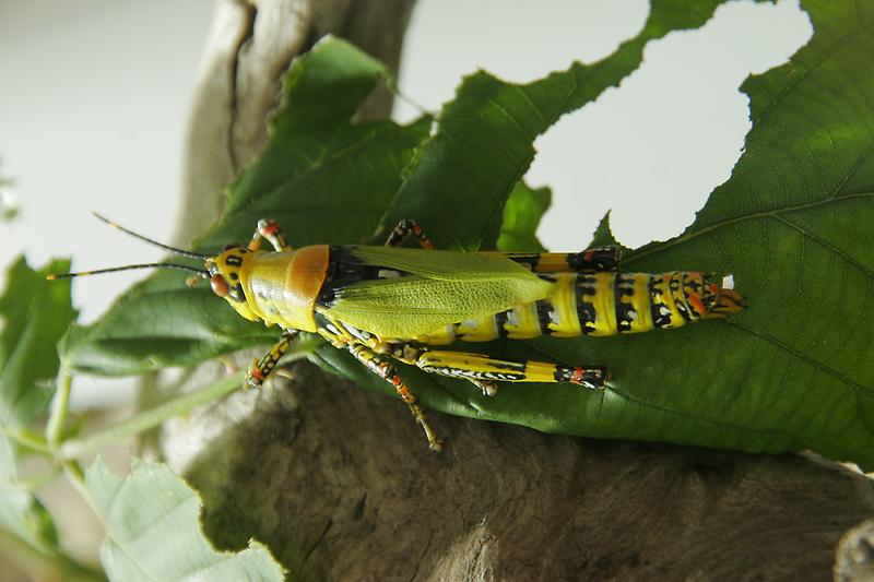 ZOO Schönbrunn