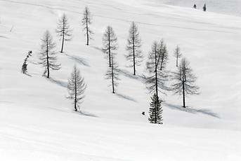 Dolomiten