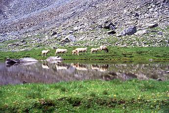 Stubaier Alpen, Hundstalsee, Inzing