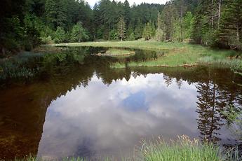 Tristacher See, Lienz