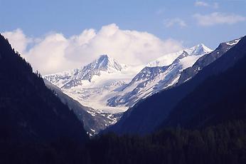 Blick zum GroßVenediger, Untersulzbachtal, Pinzgau, 1992