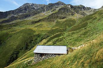 Auf einer Alm in Gerlos, Tirol, 1992