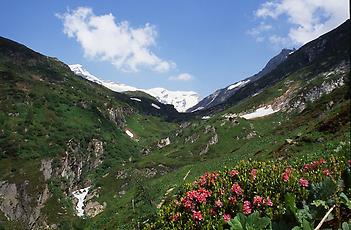 Im Maurertal bei Prägraten, 1992